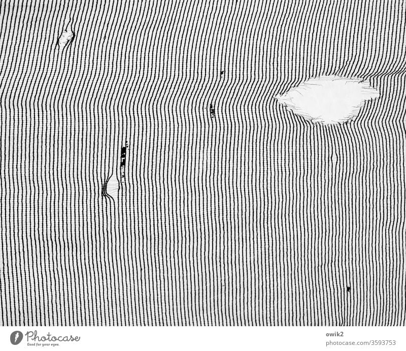 Textur Muster Struktur Linien schwarz weiß parallel viele unklar rätselhaft dünn Ordnung einheitlich Strukturen & Formen abstrakt Menschenleer Detailaufnahme