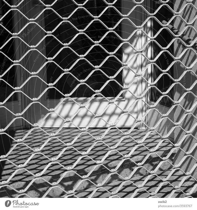 Einfassung Gitter Architektur Zaun Licht Makroaufnahme Dinge Außenaufnahme Barriere Metall Strukturen & Formen Schutz Muster Verbote Mauer Kontrolle Tag