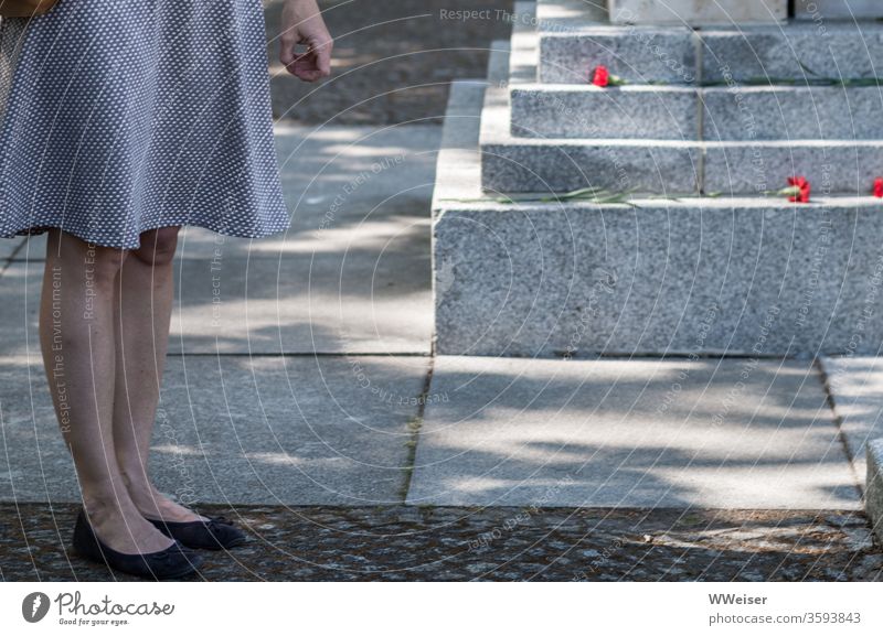 Frau im grauen Kleid vor Denkmal Hand unsicher Stufen Blumen Nelken Schatten zögern Memorial Mensch Außenaufnahme Beine Licht Zweifel Skrupel Verlegenheit