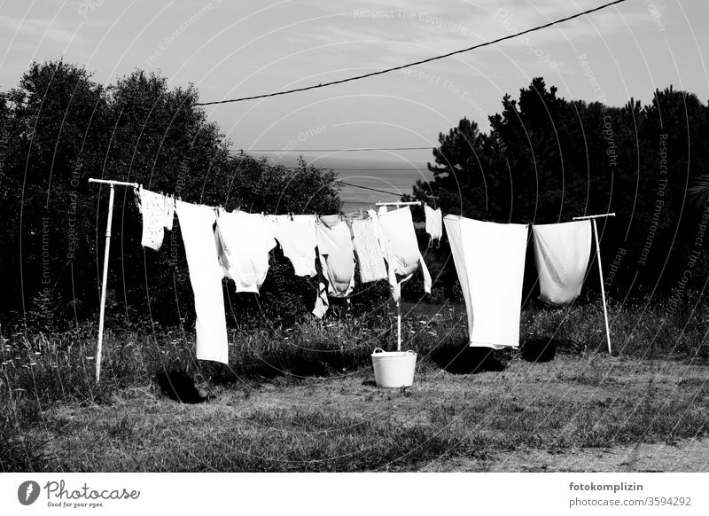 Wäscheleine im Garten mit Korb Haushalt Wäsche waschen Sauberkeit trocknen Haushaltsführung Waschtag aufhängen Häusliches Leben Bekleidung Alltagsfotografie