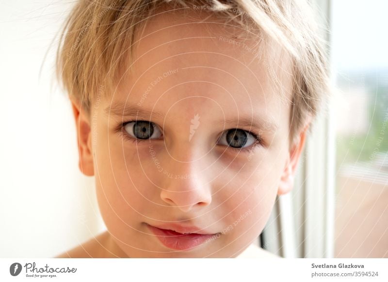 Porträt eines jungen, kaukasischen, süßen Jungen mit blonden Haaren im Haus in der Nähe des Fensters. Ruhige Emotion Kind Gesicht niedlich weiß Person Kindheit