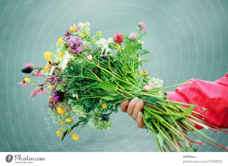 Hand mit üppigem Wiesenblumenstrauß Blumenstrauß Sommerstrauß Sommerblumen bunt gepflückt neutraler Hintergrund