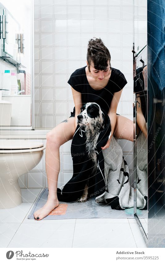 Frau wischt ruhigen großen Hund nach dem Waschen im Badezimmer Besitzer Haustier Wischen heimwärts Handtuch trocknen gehorsam englischer Setter nass Tier