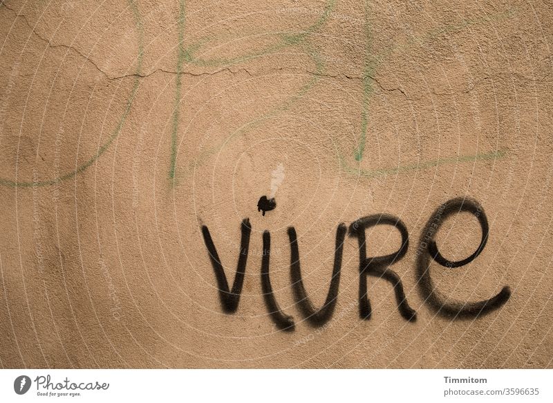 Tagesmotto an der Wand: VIVRE Schriftzeichen Wort Buchstaben Vivre Graffiti Farbfoto mahnung Menschenleer französisch Leben