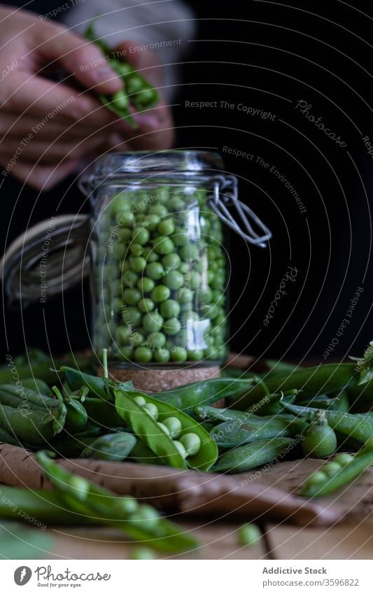 Ernte-Hausfrau schält Erbsenschoten in der Küche Hülse grün sich[Akk] schälen Gemüse vorbereiten frisch Samen Frau Koch organisch natürlich Lebensmittel
