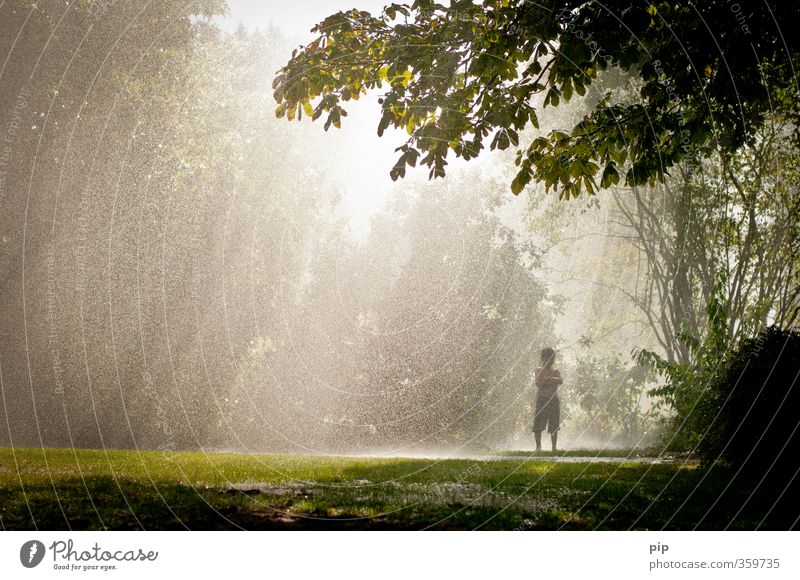 im regen stehngelassen Mensch Junge 1 Natur Landschaft Sonne Sommer Klima Klimawandel Schönes Wetter schlechtes Wetter Regen Baum Gras Wiese Wald stehen warten