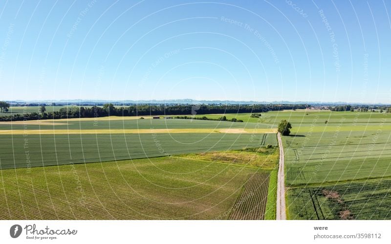 Blick aus der Luft über landwirtschaftlich genutzte Flächen auf die Alpen Bereich Flug Ansicht Luftaufnahme landwirtschaftliche Fläche