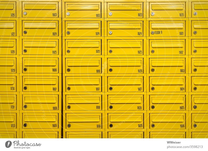 Viele gelbe Briefkästen, nummeriert Briefkasten Metall Reihen Schlitze Briefschlitz Nummern Wohnheim Studentenwohnheim Stockwerk Etage Schlüsselloch öffnen