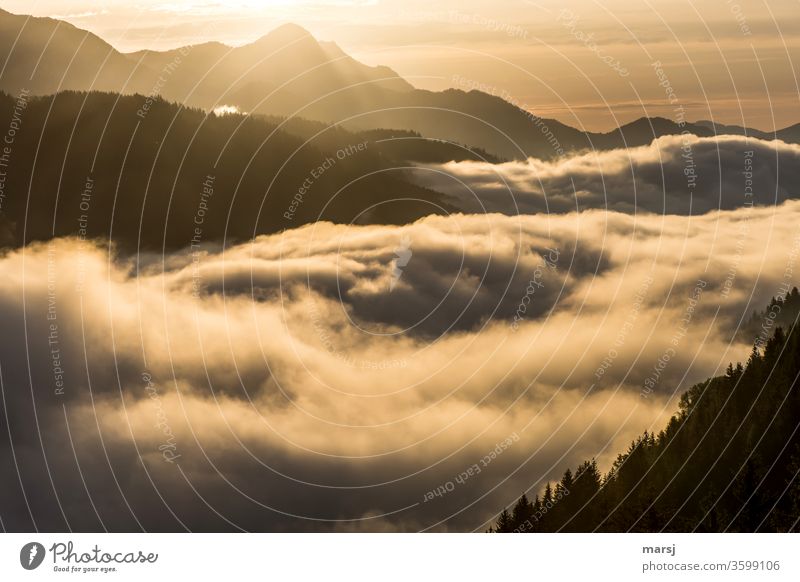 Sonnenaufgang über dem Nebelmeer Tagesbeginn Berge u. Gebirge Traumwelt verträumt ruhig Umwelt Ruhe Meditation Stille Dankbarkeit Demut Hoffnung