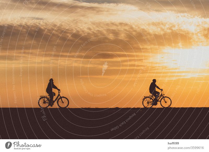 Sonnenuntergang mit Fahrradfahrern am Deich Silhouette Fahrradfahren Mensch 2 Erwachsene Sonnenaufgang Partnerschaft Teamwork Dämmerung Schönes Wetter