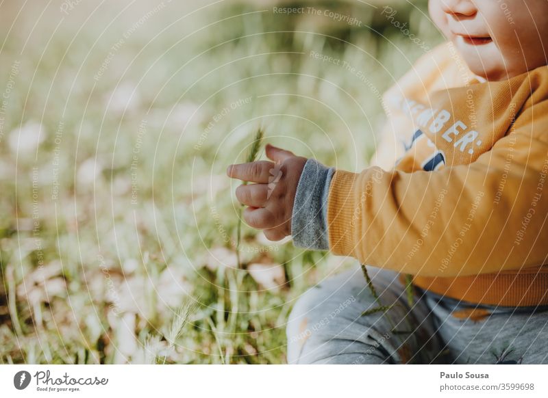 Mit Gras spielendes Kind Baby Säuglingsalter Kleinkind 0-12 Monate Kaukasier Sommer Frühling Farbfoto Mensch Kindheit schön niedlich Glück Außenaufnahme