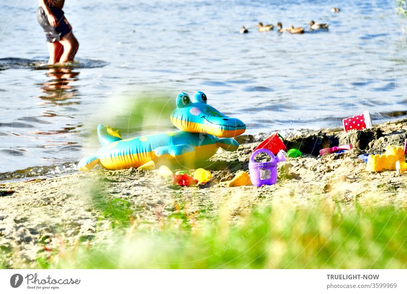 Sommerhitze und Spiele am Havel Strand im Wasser und im Sand mit einem aufgeblasenen blau gelben Schwimmkrokodil, bunten Plastik Förmchen und Eimern während ein Mensch im Wasser steht und eine Entenfamilie im Hintergrund davonschwimmt