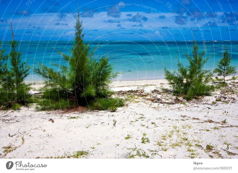 ile du cerfs in mauritius, einem Strand ND BUSH Meer Insel Wolken blau braun lkpro Isola cervi isola dei cervi Spiaggia Stute nuvole verde Marone Sabbia Arbusti
