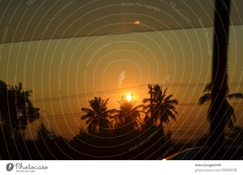 thailändisches Abendrot Palmen Sonnenuntergang Schatten Asien Thailand Licht Abenddämmerung Abendröte Fernweh Ausflug Abenteuer Freiheit Nachtaufnahme