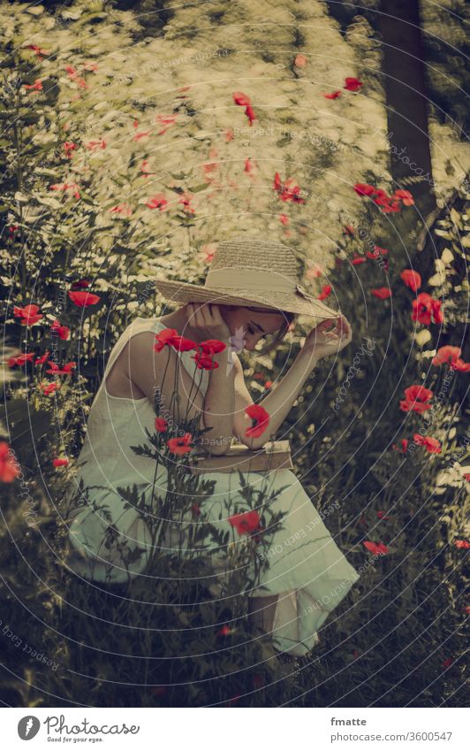 Frau mit Buch im Mohn lesen mohnblumen Sommer Blume Bildung schön Mohnblumen Natur Farbfoto rot Literatur