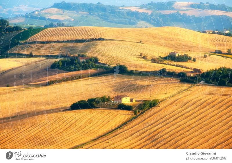 Marken (Italien) - Landschaft im Sommer, Bauernhof Märsche Ackerbau ancona Schönheit in der Natur Farbe kultiviert Tag Europa Gutshaus Feld Blume grün Hügel