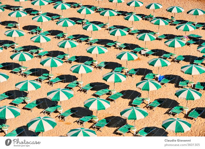 Termoli, der Strand Adriatico Campobasso Europa Italien Molise Küste Farbe Krise Tag grün horizontal Italienisch Morgen niemand im Freien Fotografie