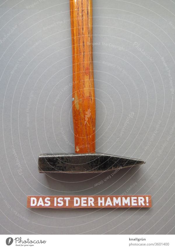 Das ist der Hammer! Begeisterung Gefühle erstaunt Überraschung Kommunizieren Schilder & Markierungen Schriftzeichen Studioaufnahme Werkzeug Metall Holz