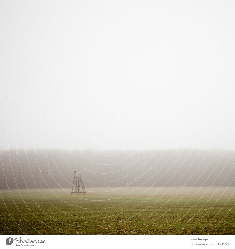 Nebelschwadenbilder - Tag Umwelt Natur Landschaft schlechtes Wetter Wiese Feld trist grau Farbfoto mehrfarbig Außenaufnahme Menschenleer Textfreiraum links