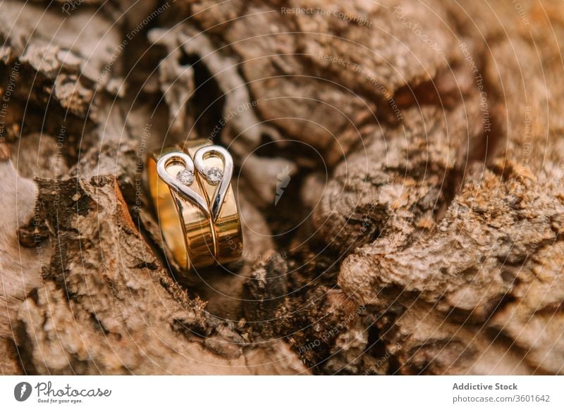 Trauringe auf Holzoberfläche Hochzeit Ring Festakt golden Heirat Liebe feiern Herz Form Veranstaltung Symbol romantisch Tradition Engagement elegant Schmuck