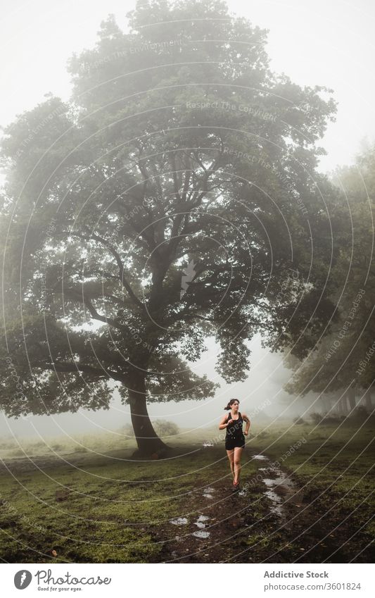 Fitte Frau rennt auf einem Pfad in nebligem Wald laufen Sportlerin Läufer passen Athlet Holz Training Morgen Sportbekleidung nass Weg Gesundheit Fitness dreckig