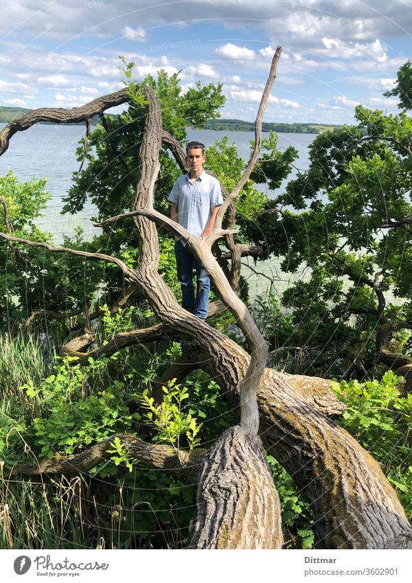 Junger Mann steht auf einem in einen See gefallenen Baum Jugendlicher Eiche Familienurlaub aktiv attraktiv umgefallen