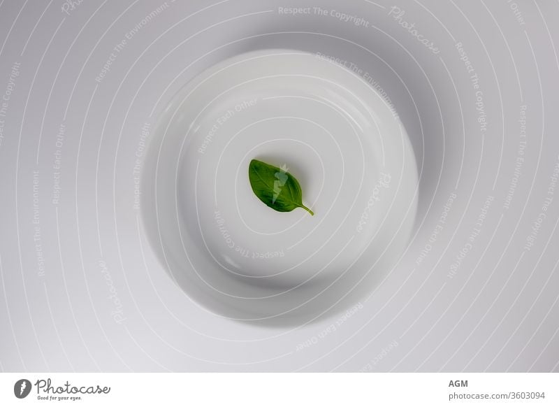 weiße Schale mit Basilikumblatt Lebensmittel aromatisch Hintergrund Biografie Nahaufnahme Küche kulinarisch lecker Speise Geschmack frisch Frische grün Wachstum