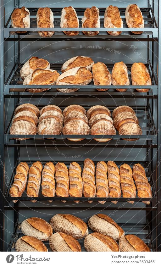 Brotsorte im Metallregal einer Bäckerei Sortiment Baguette Backwaren Bäckerei-Interieur Brotgestelle Business Konsumverhalten Kruste Vielfalt Lebensmittel