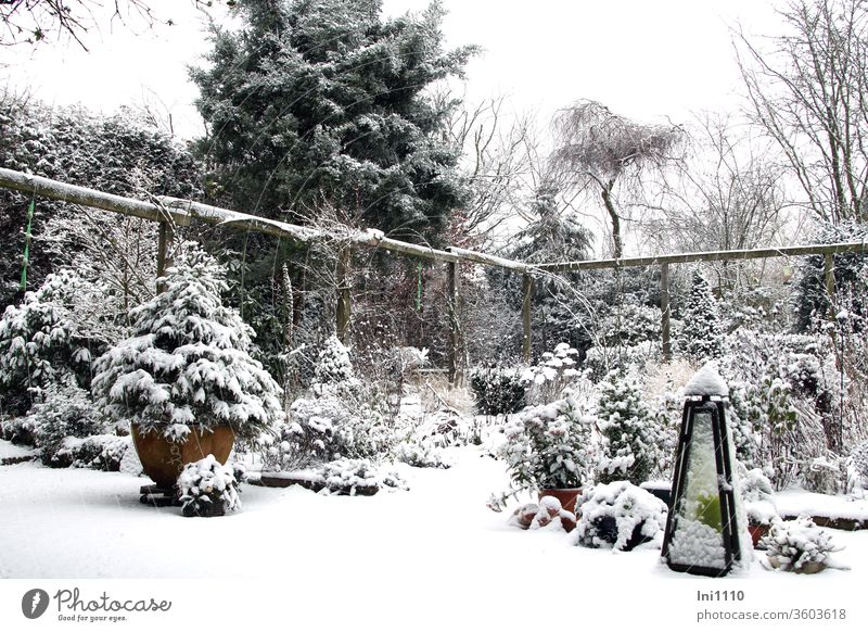 Zauber im Garten es hat geschneit Winter Schneee schneien Hausgarten Schneehäubchen Pergola Koniferen Stuaden Kerzenständer unberührt winterlich Jahreszeit