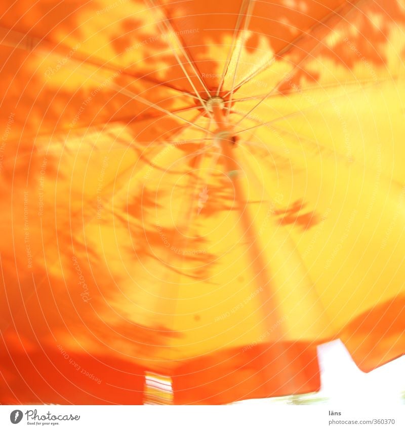 Sommerkarussel Sonne Sonnenschirm Blatt Schutz orange