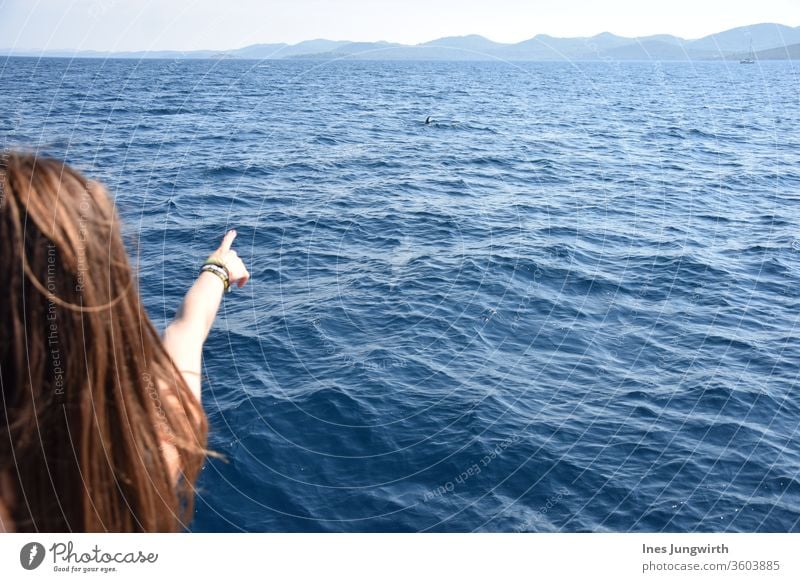 Delphin-Sichtung Adria Familie Familienglück Familienausflug Urlauber Urlaubsgrüße Segeln Segelboot Urlaubsstimmung Urlaubsfoto Sommerurlaub sommerlich Farbfoto