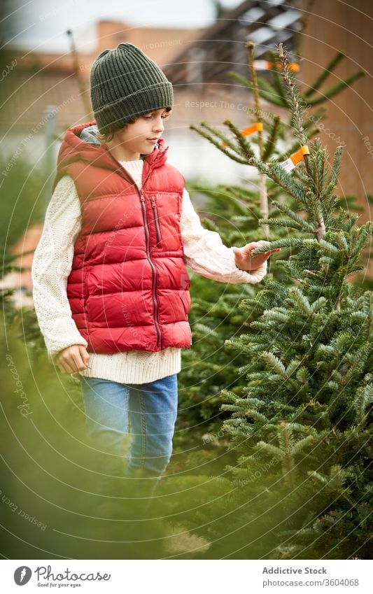 Schöner blonder Junge mit grüner Wollmütze, roter Weste, weißem Pullover, blauer Hose und gelben Stiefeln wählt seinen Weihnachtsbaum frisch Nahaufnahme Jungen