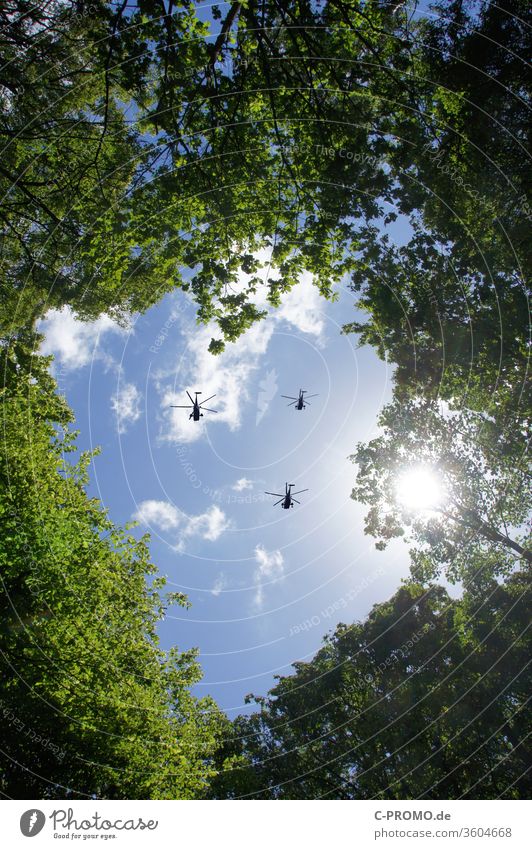 Helikopter am Himmel über der Waldlichtung Hubschrauber Militär Sicherheit Überwachung Bundeswehr Terrorgefahr Sonnenlicht