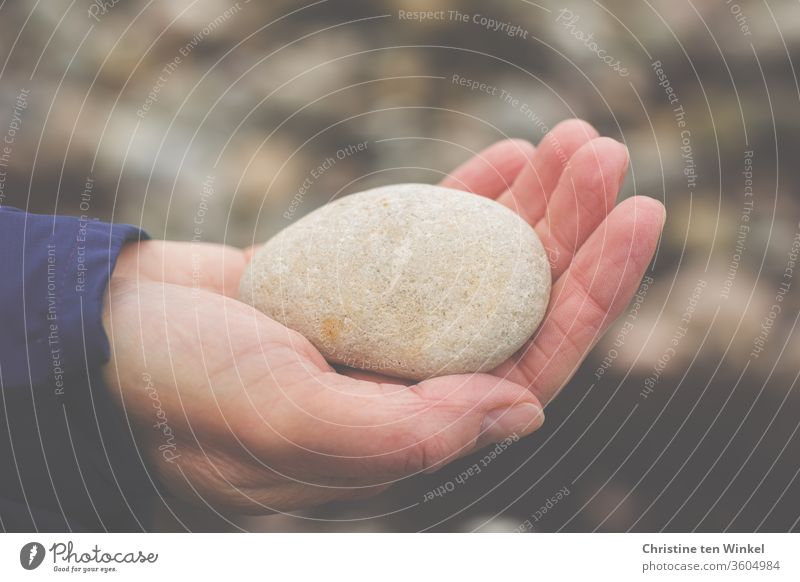 alt | Ovaler glatter Stein vom Ostseestrand liegt auf der Handfläche einer Frau festhalten 45-60 Jahre Erwachsene Kieselstein natürlich ruhig zeigen achtsam