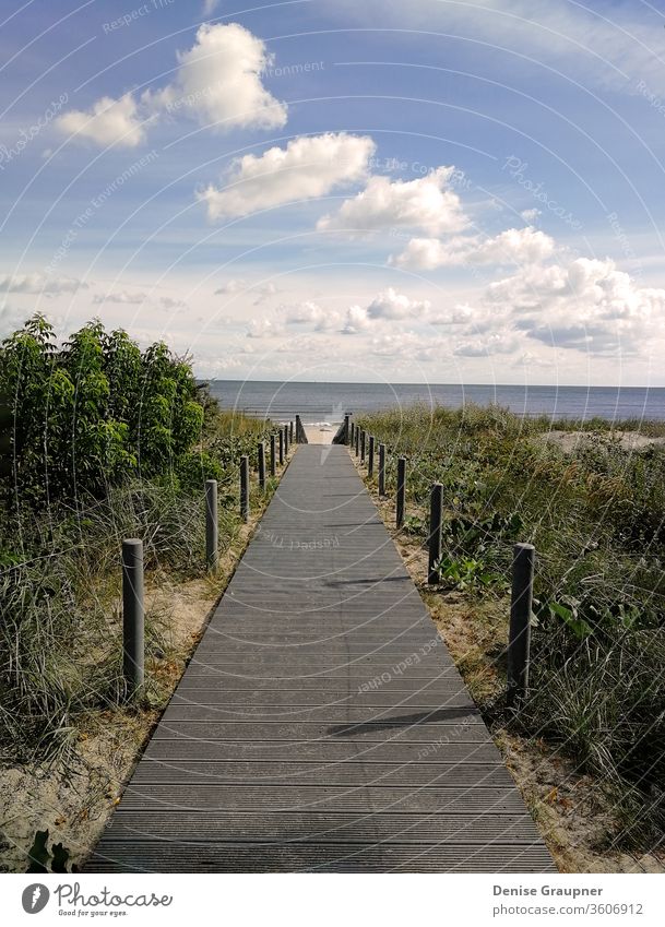 Holzsteg, der zum Strand an die Ostsee führt Küste MEER Laufsteg hölzern baltisch Düne Horizont Sand Wasser Küstenstreifen Wald Gras Golf Hügel jurmala Lettland