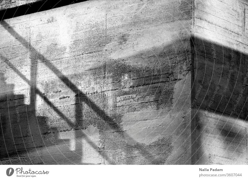 Es legen sich die Schatten über den Beton Analogfoto analog Schwarzweißfoto Treppe Westpark