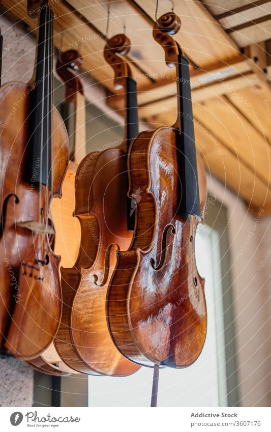 Satz lackierter handgemachter Geigen, zum Trocknen auf dem Balkon aufgehängt Instrument trocknen hängen Werkstatt kreieren Prozess handgefertigt hölzern Reihe
