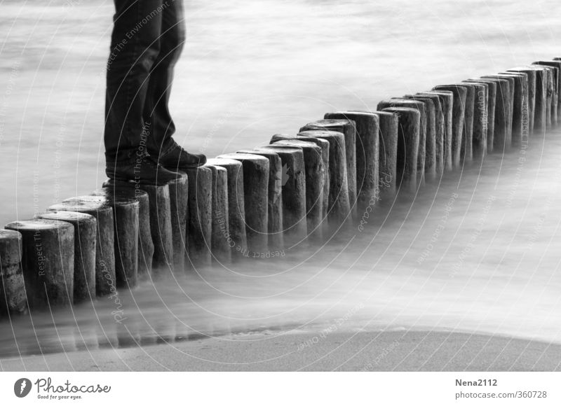 Der Wanderer Mensch maskulin Beine Fuß 1 Umwelt Natur Sand Wasser Nordsee Ostsee Meer gehen laufen achtsam Abenteuer Freizeit & Hobby Freude Buhne