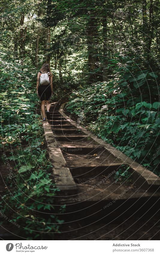 Anonyme Frau geht im Wald spazieren Weg reisen erkunden Freude Wetter la mauricie Nationalpark Quebec Kanada Rucksack Holz grün Natur Baum Abenteuer Reise