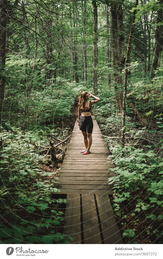 Weibliche Reisende auf Holzpfad im Wald Frau Weg reisen erkunden Freude Wetter la mauricie Nationalpark Quebec Kanada Rucksack grün Natur Baum Abenteuer