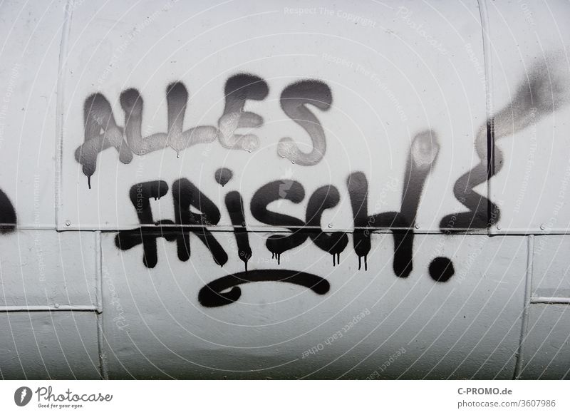 Graffiti "ALLES FRISCH" Schmiererei Sachbeschädigung frisch Fernwärmerohr