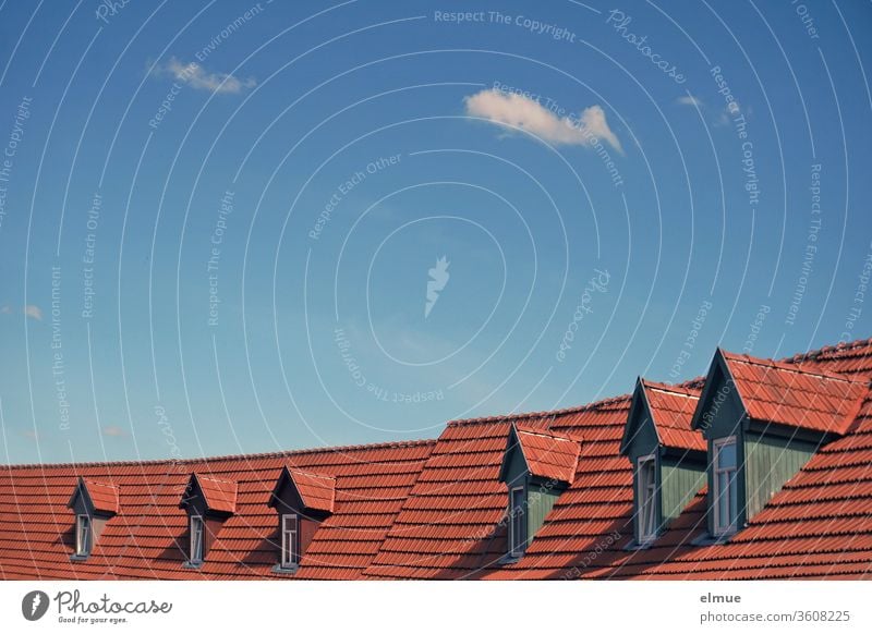 sechs Dachfenster in Reihe in Gaubenform auf einem Ziegeldach mit blauem Himmel und kleinen Schönwetterwolken Fenster Dekowolke Dachgaube Dachziegel Belichtung