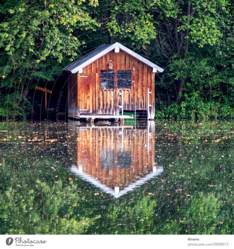 Symmetrie | für gleichbleibende Tage Hütte Bootshaus Teich See Seeufer Wald positiv Erholung ruhig Einsamkeit Holzhaus Reflexion & Spiegelung Spiegelbild