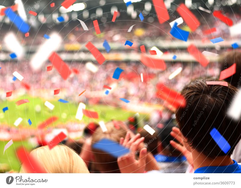 Fans im Stadion Freude Applaus Weltmeisterschaft Konfetti fantastisch Stimmung Gefühle Jugendliche Junger Mann Mensch Fußball Sportstätten Fußballplatz Erfolg