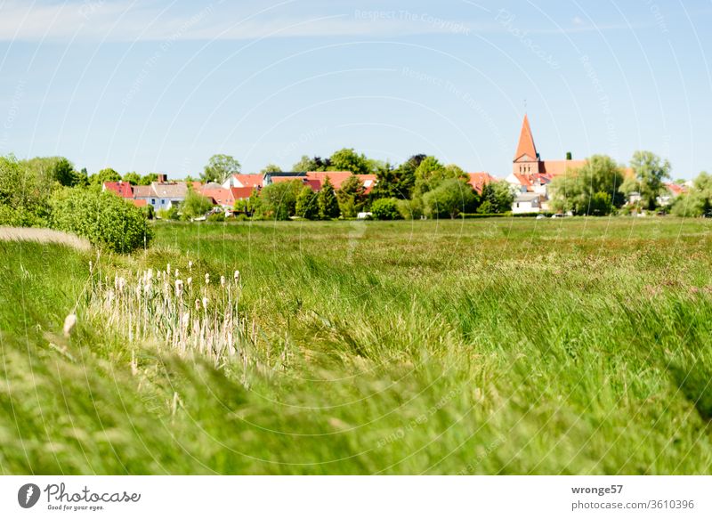 Ansicht des Städtchen Schwaan mit Kirche und den Warnowwiesen im Vordergrund von Süden her Stadtansicht Mecklenburg-Vorpommern Kirchturm Wiesen Feuchtwiese