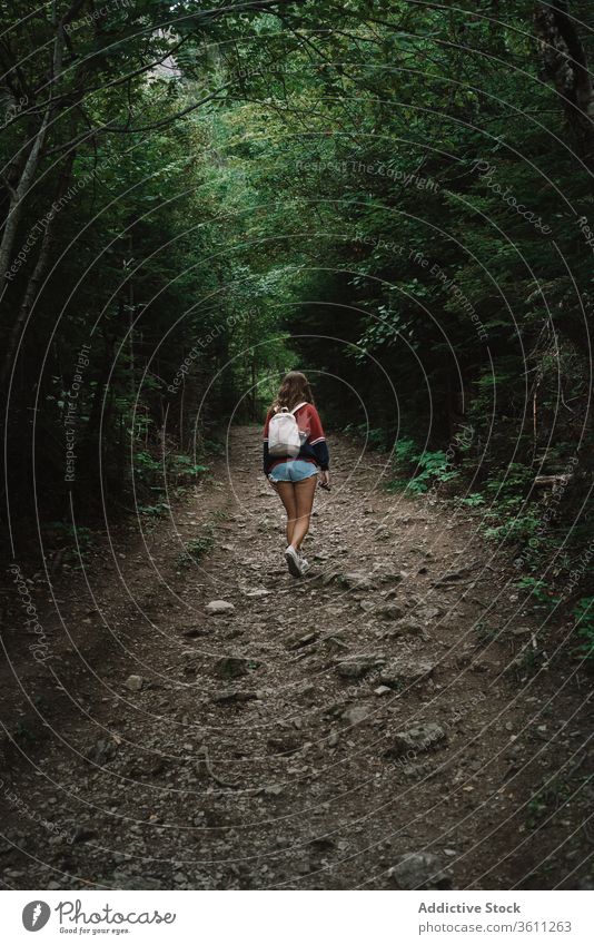 Unerkennbare Frau mit Rucksack auf Waldweg reisen Wälder Park schlendern national la mauricie Laufsteg Umwelt Kanada Quebec Aktivität Nachlauf malerisch
