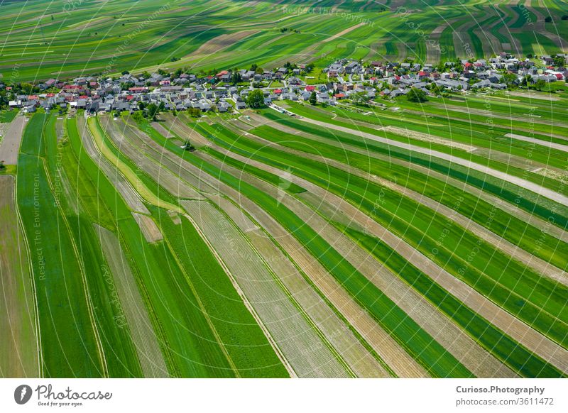 Polen von oben. Luftaufnahme der grünen landwirtschaftlichen Felder und des Dorfes. Landschaft mit Feldern in Polen. Typische polnische Landschaft. jura