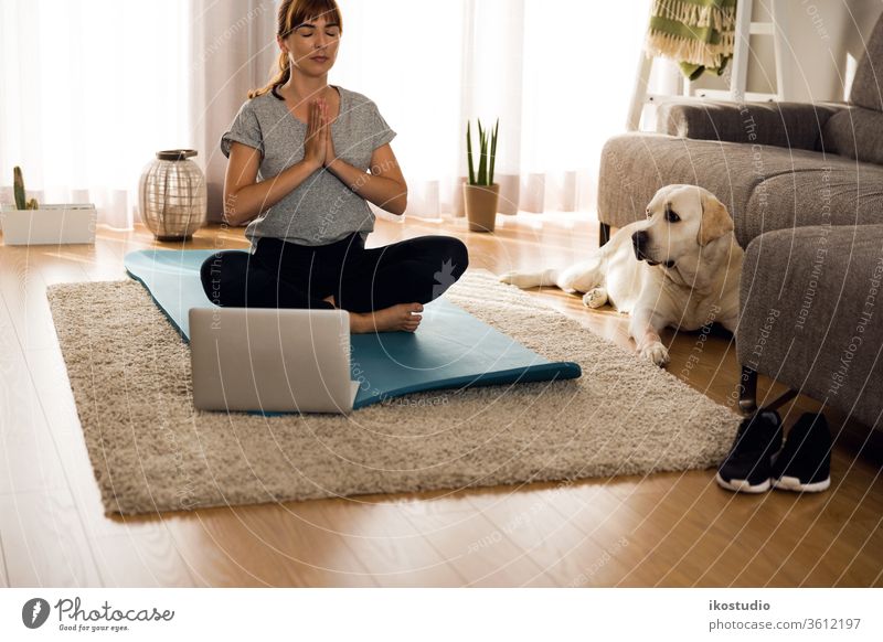 Mit meinem faulen Hund Übungen machen heimwärts Frau Yoga Fitness Meditation entspannend Haustier Training online Gesundheit Mädchen Yogi meditieren Atem Laptop
