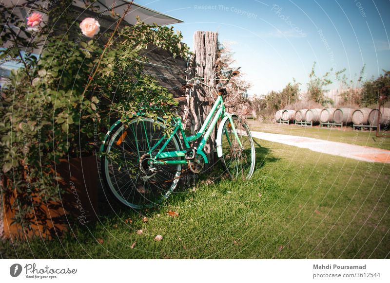 Ein Oldtimer-Fahrrad an einem sonnigen Tag mit einigen Weinbehältern im Hintergrund und Blumen im Vordergrund. Weingut altehrwürdig Gras grün stilisiert