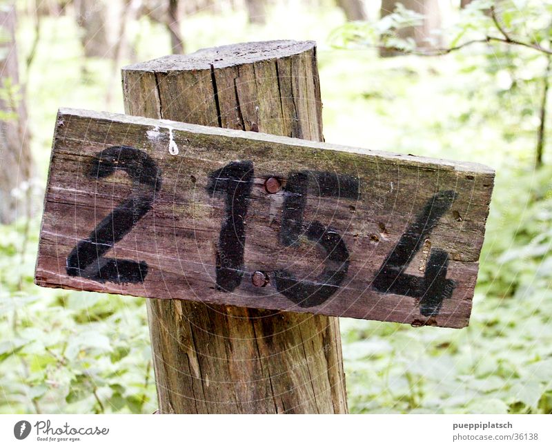 irgendeine Nummer im Wald Ziffern & Zahlen grün Holz Baum Vogeldreck Nagel 2154 Holzbrett
